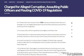 袭警、贿赂、持刀恐吓！28岁中国女子被控上新加坡法庭图片
