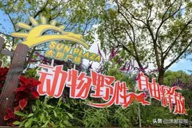 上海野生动物园员工遭熊攻击致死，回应：猛兽区关闭，对逝者表示哀悼图片
