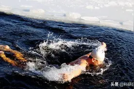 Cell Reports Medicine丨冷热交替有助减肥图片