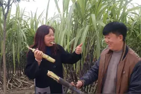 田美刚夫妇“甜蜜的事业”图片