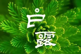 今年白露不一般，恰与八月初一巧合，看看老祖宗留下的农谚怎么说图片