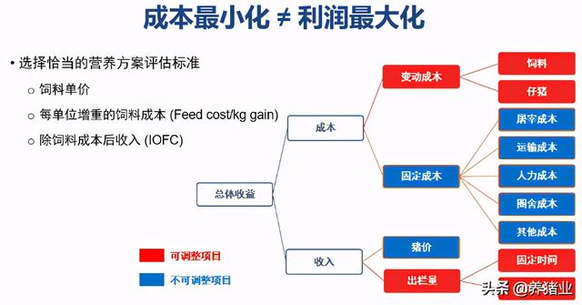李曼大会听课笔记连载（二）（母猪营养、生长速度、应激、无抗）