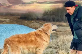 14岁金毛想陪主人爬山却走不动，主人用轮椅实现它的梦想图片