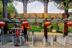 楚王随葬大批量车马阵，规模不输秦兵马俑，被誉为“天下第一”图片