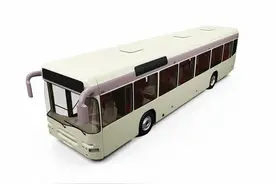 徐州市区残疾人可以免费乘坐公交车了图片