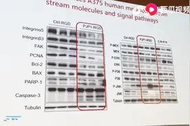 诺贝尔奖得主来济南了！中国教授：基因抑制癌细胞，癌症有救了？视频封面