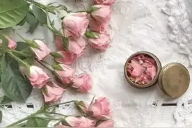 一花一世界图片