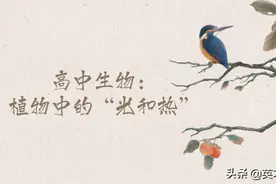 高中生物：植物中的“光和热”图片
