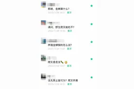 知了猴还能吃吗？山东禁食名单已出！商报记者探访济南金蝉养殖村图片