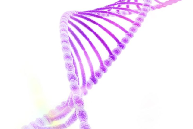 芳香L-氨基酸脱羧酶缺乏症是一种罕见的，由多巴脱羧酶缺陷引起的