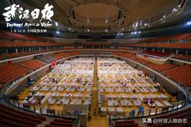 《武汉日夜》上映，全程泪目！白岩松：不要不忍心，现在看是最好的时机图片