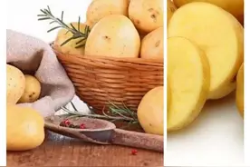 土豆 洋芋 马铃薯，你分得清吗？图片