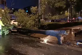 昨夜，狂风暴雨！我们，坚守不退！图片