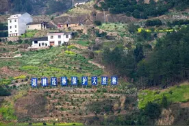 耕地栽树、买车不开、有钱不花，农村这些现象背后的原因是什么？图片