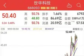 股民追捧的大白马被诸多因素掣肘发展？对苹果公司过分依赖，世华科技SGI评分81图片