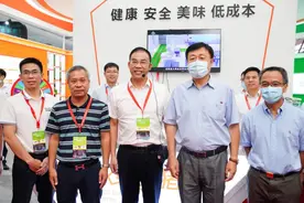 楼房养猪不值得争论图片