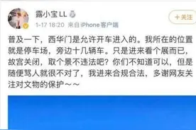 "奔驰开进宫"事件后续：故宫博物院院长致歉 相关负责人停职图片