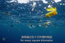 看腻了动画片，不如看看这几部适合给孩子看的纪录片吧图片