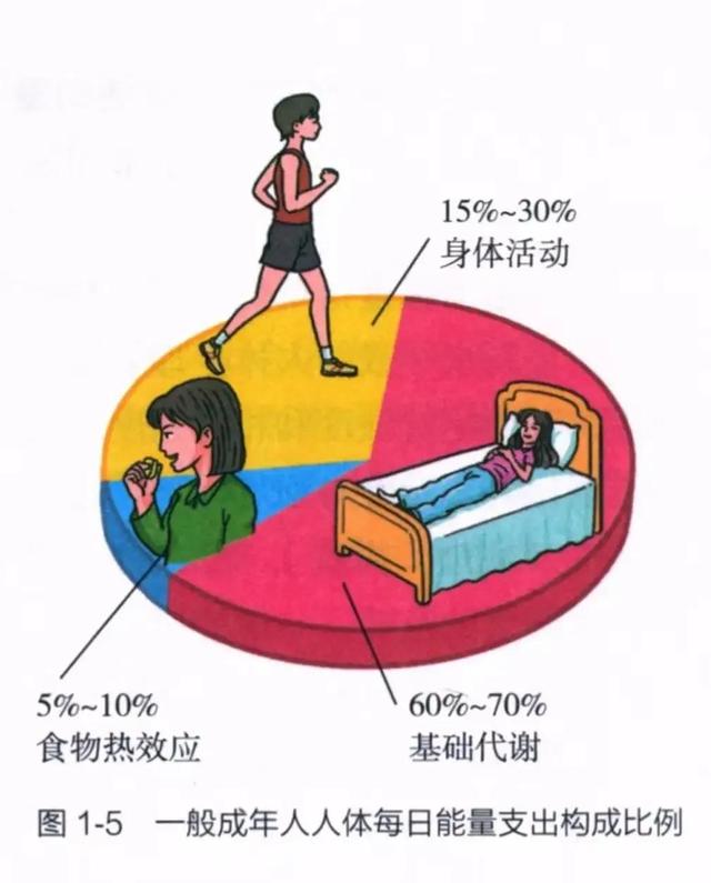 减肥该如何配餐？