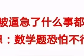 九上：湘教版九年级上册数学（2015）图片