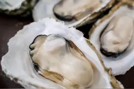 买生蚝，别看大小来挑选，牢记3招，回回选到新鲜肥美的优质生蚝图片