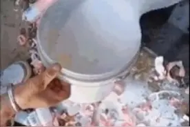 央媒怒批的”倒奶事件“，悲愤的同时：无知的脑残粉，何时休？图片
