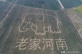 河南话到底多有意思，知了有十来种叫法，各地方言南阳话最有特点图片