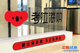 入驻阿里“动物园”一年：考拉瞄准会员电商 前途几何？图片