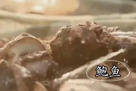 超好吃的干烧鲜鲍焗明虾怎么做？食博会大海美食菜谱大曝光图片