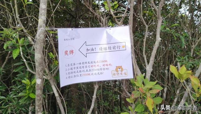 东莞最高峰银瓶山，这种美景真是人间少有！分享攻略助你轻松登顶