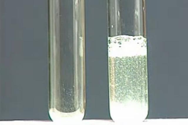 绐佺牬姘ㄥ熀閰哥粨鏋勯毦鐐癸紝杞绘澗鎺屾彙銆婄敓鍛芥椿鍔ㄧ殑鎵挎媴鑰呪€斺€旇泲鐧借川銆? onerror=