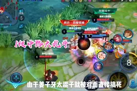本以为巅峰赛700分已是尽头，现有人掉到100分，游戏体验极佳图片