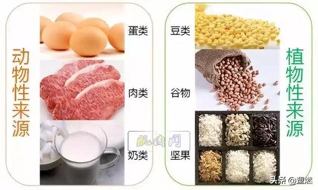 健身补剂No.1“乳清蛋白”和“酪蛋白”有什么区别和优势