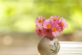 人在身边，心却猜不透，这些星座，心思如同大海一样深图片