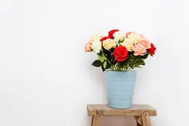 撩中年男人的“捷径”：折腾图片