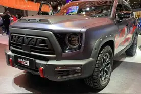 哈弗大狗改装版 静态解析 2.0T 四驱+后桥差速锁 变身武装狗图片