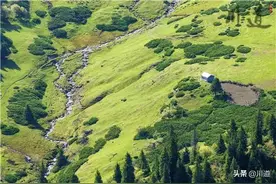 自驾新疆独库公路的建议和注意事项图片