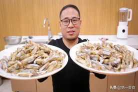 春天最肥的蛏子，10块一斤，比虾便宜，孩子长身体别错过图片
