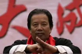 大成拳心得体会图片