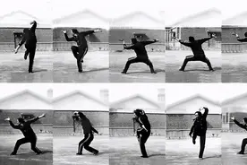 马明达教授论劈挂拳的劲法与训练图片