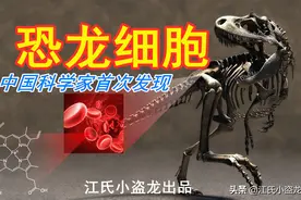 中国科学家在恐龙化石中发现了恐龙的细胞图片