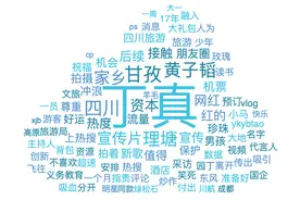 大数据揭秘：是谁把丁真送上热搜？图片