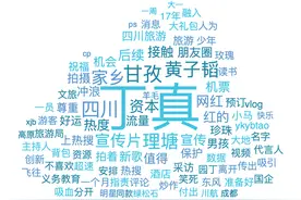 大数据揭秘：是谁把丁真送上热搜？图片