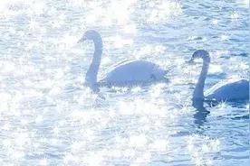 往后余生，请多多指教图片