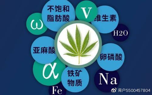 火麻油怎么吃法（巴马御天木火麻仁油该如何食用）