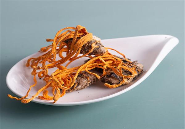 浜哄伐铔硅櫕鑽夋牻鍩规妧鏈紝鑳芥彁鍗囪浌铏崏浜ч噺锛岃繕鑳戒繚鎸佸叾钀ュ吇