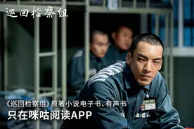《巡回检察组》：张一苇"今晚"入狱，做卧底PK黄四海图片