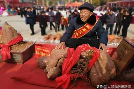 汝阳：红薯“打擂”，单株重133斤夺“薯王”，重量抵上成年人图片
