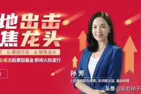 NO.513｜上投摩根孙芳-上投摩根行业睿选，值不值得买？图片