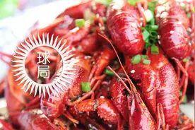 小龙虾，进中国！| 地球知识局图片